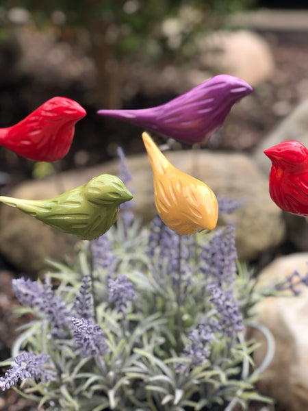 "Birds of a Feather" Plant Stakes (Set of 3)